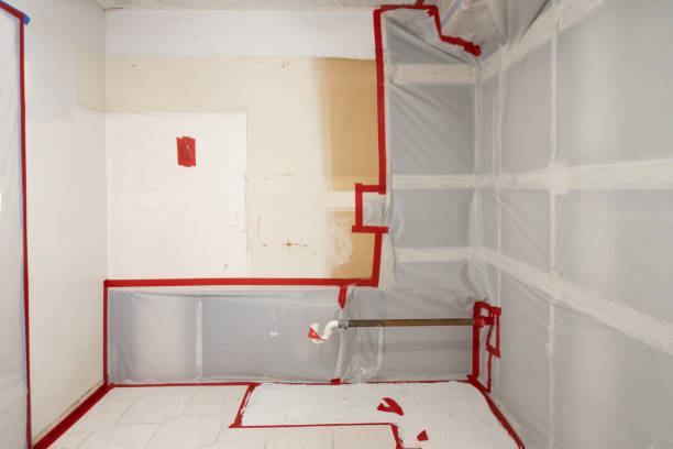 Best Mold Remediation for Vacation Homes  in Buffalo, SC