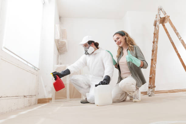 Best Basement Mold Removal  in Buffalo, SC