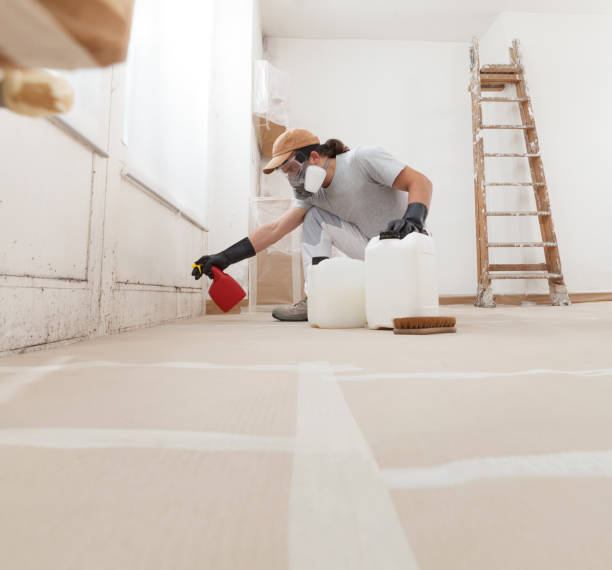 Best Mold Odor Removal Services  in Buffalo, SC